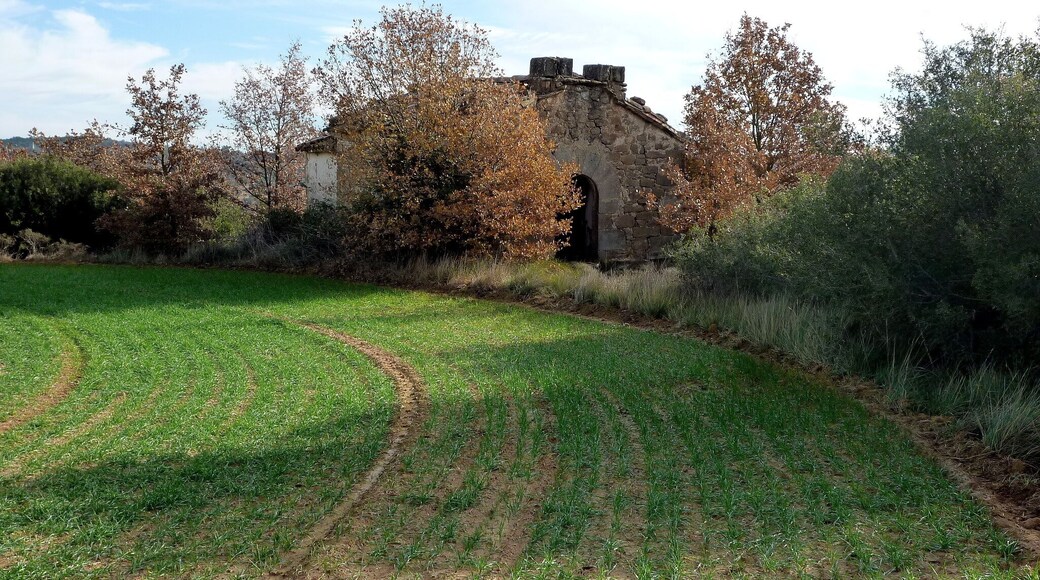 Església de Sant Julià de Viladebages (Olius)