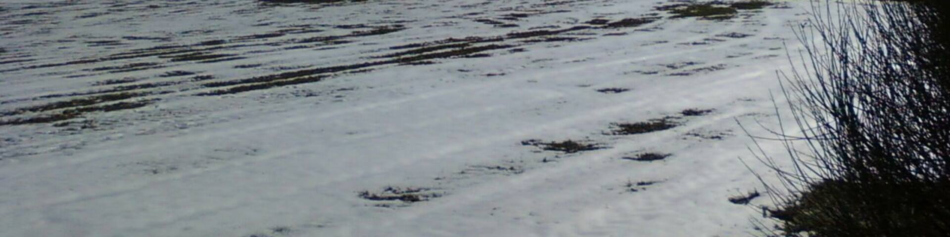cerro del castillo desde la ñora, nevado