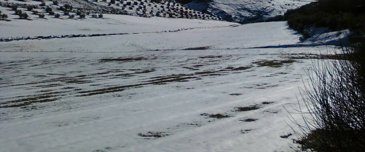 A snow-covered landscape with a clear sky, a snow-covered hill, and a snow-covered valley.