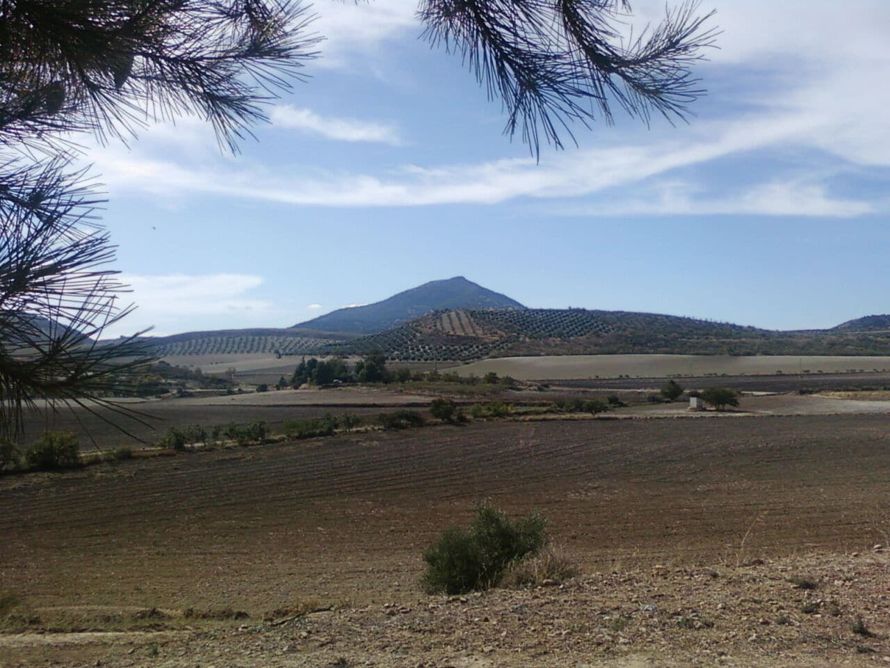 alta coloma desde la ñora