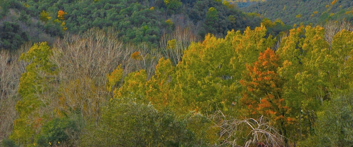 Cingle de Sant Roc de Barroca
