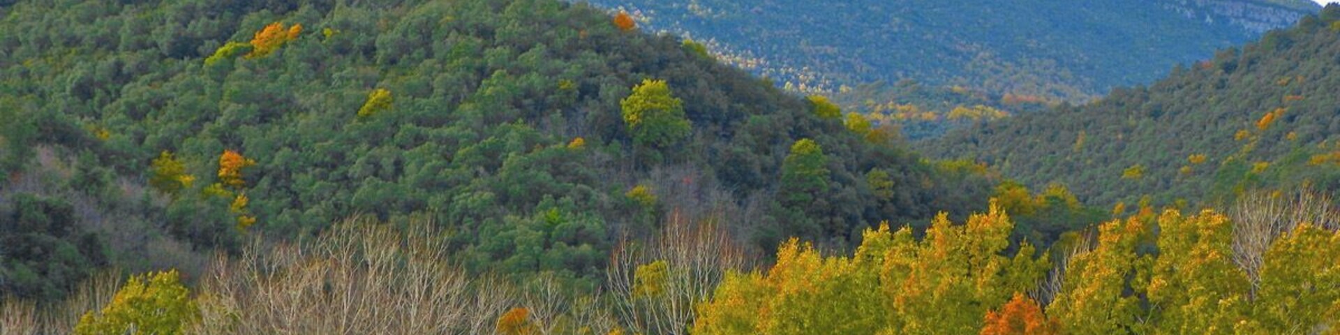 Cingle de Sant Roc de Barroca