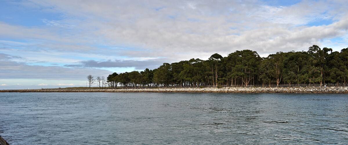 A calm sea with a rocky shoreline and a dense forest in the background.
