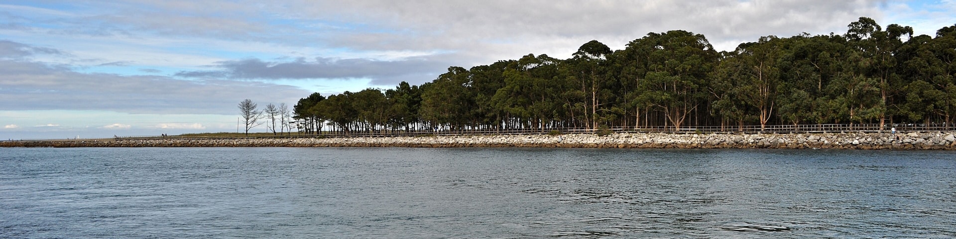 A calm sea with a rocky shoreline and a dense forest in the background.