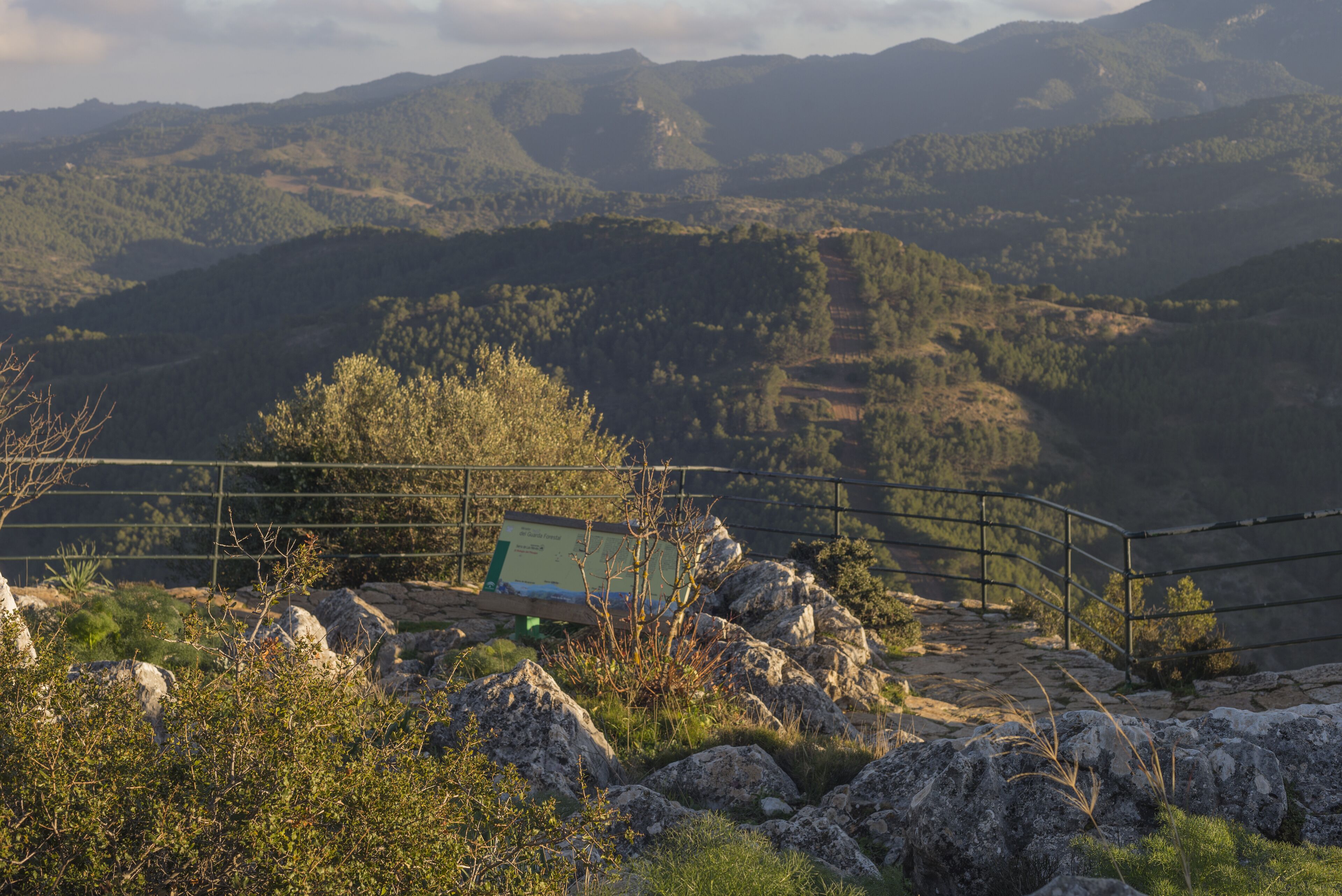 Sierra de las Nieves natural park