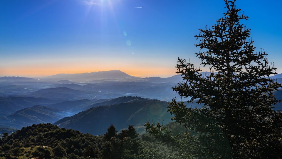 A mountain landscape with a clear sky and a prominent tree in the foreground.
