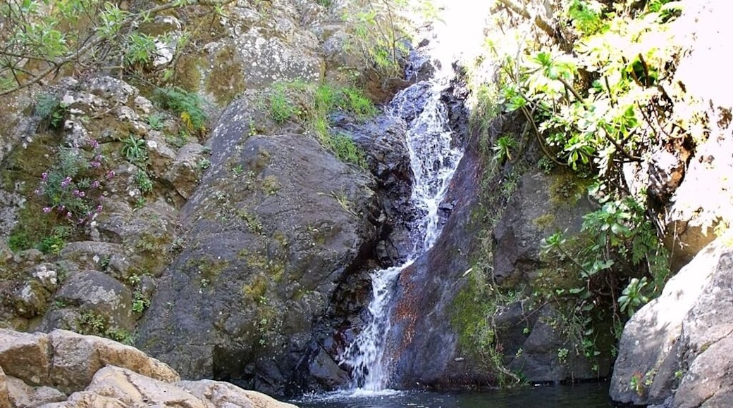 Agua cayendo en la charca