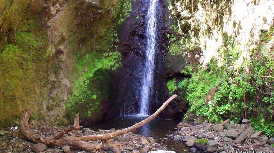 Vista de una cascada
