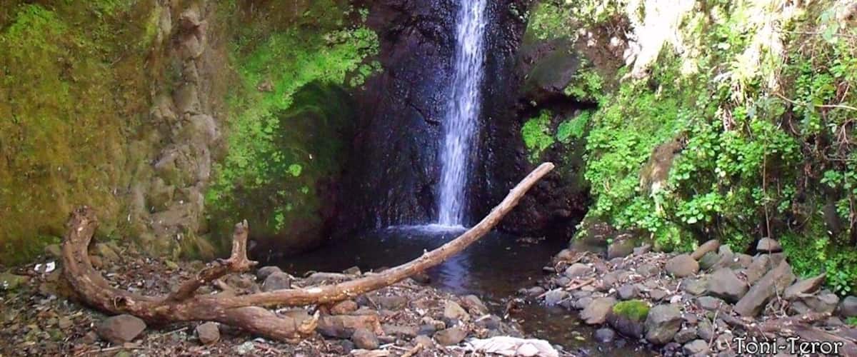 A waterfall in a forested area with moss-covered rocks and a fallen tree in the foreground.