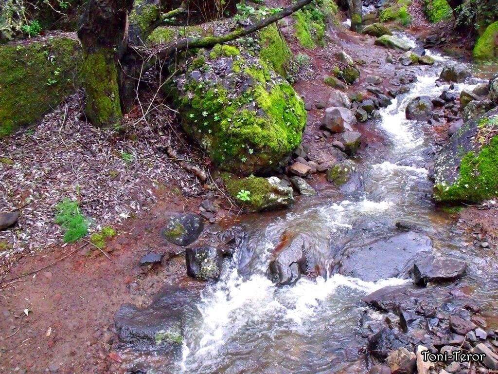 Torrente de agua