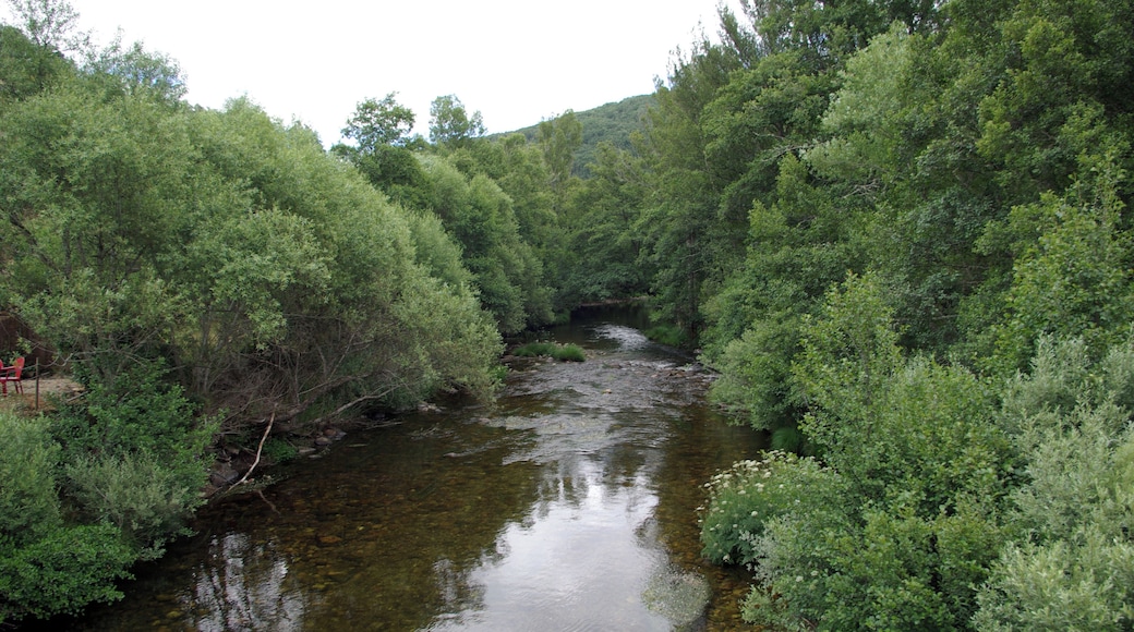 River Omaña in La Omañuela (Riello, León, Spain)