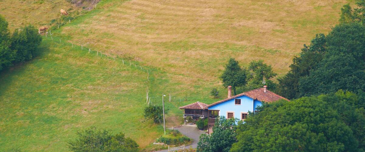 A blue house on a hillside with a fenced field and trees.