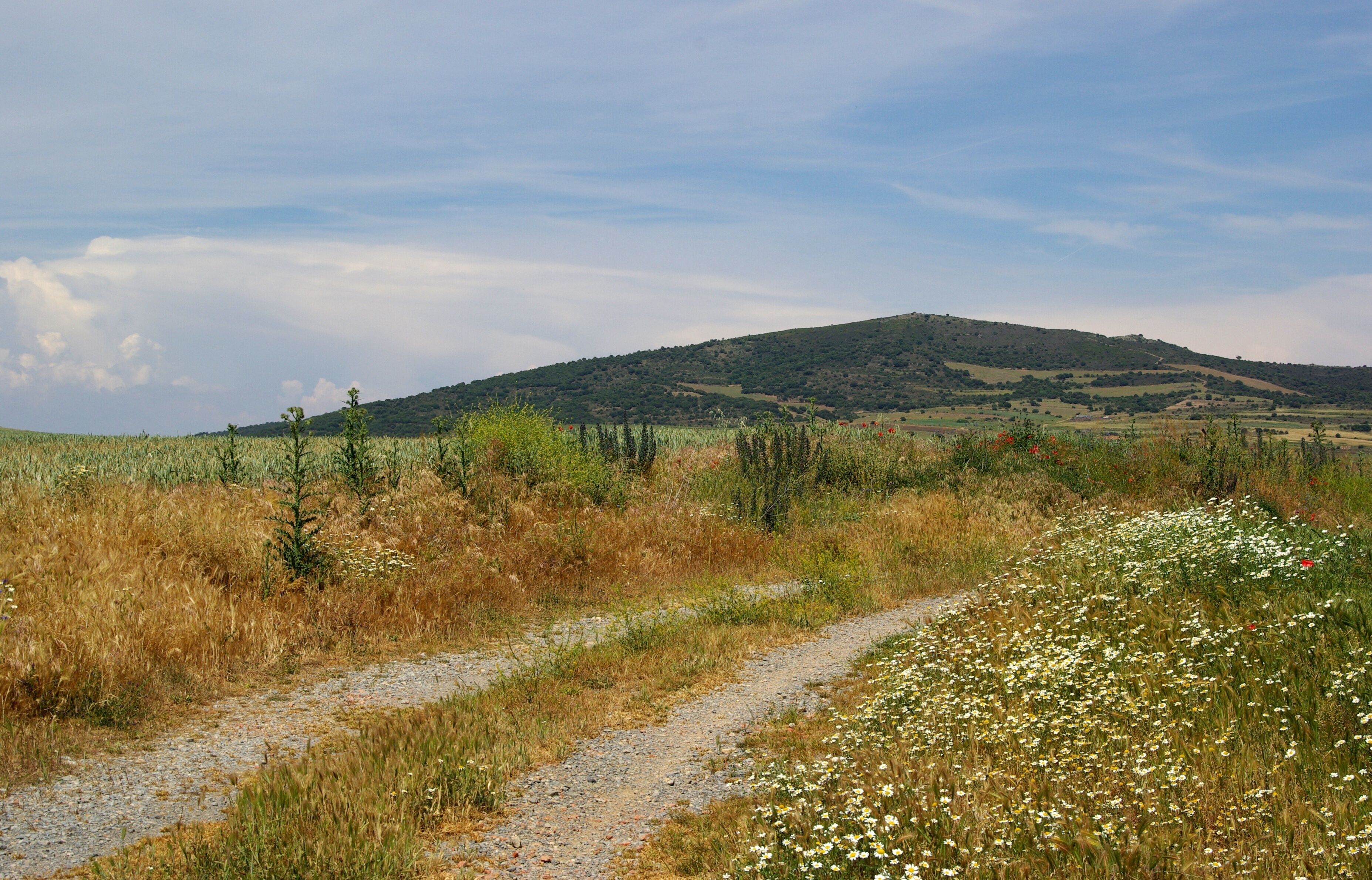 on route from Tudela to Logrono