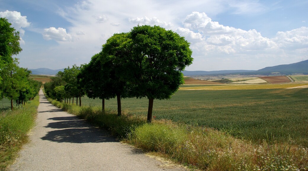 on route from Tudela to Logrono