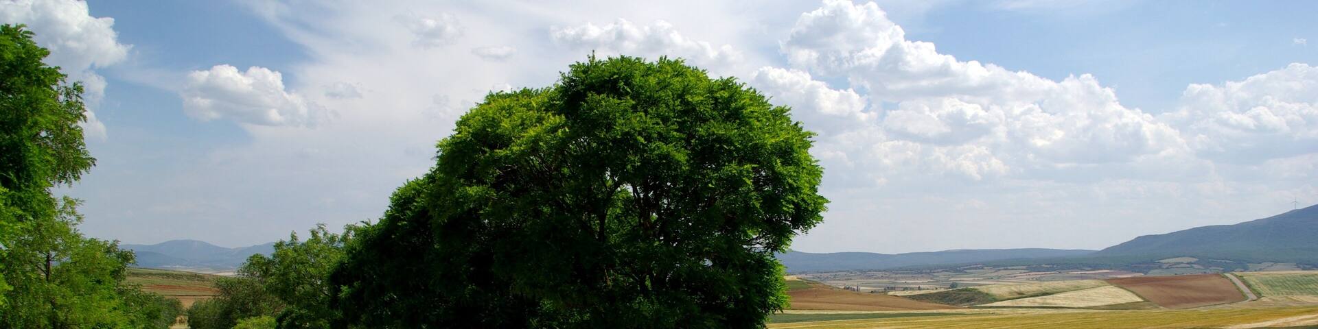 on route from Tudela to Logrono
