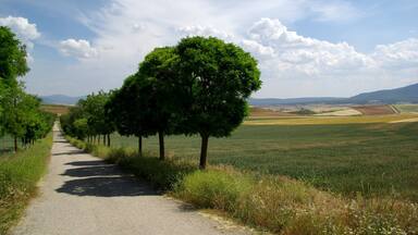on route from Tudela to Logrono