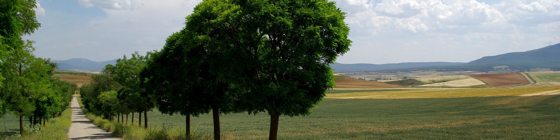 on route from Tudela to Logrono