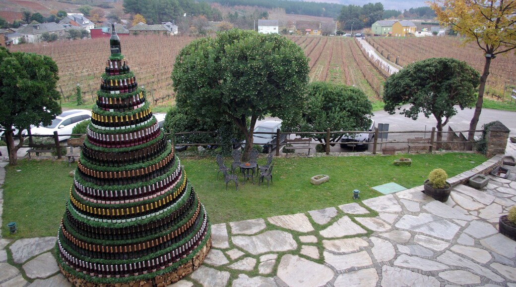 Canedo Palace: Christmas tree and vineyard, (Arganza, LeĂłn, Spain)