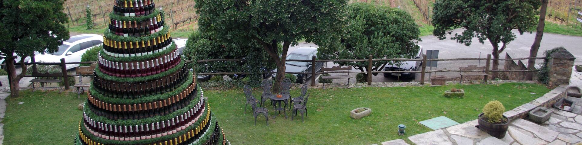 Canedo Palace: Christmas tree and vineyard, (Arganza, León, Spain)