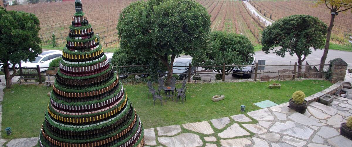 A large Christmas tree made of wine bottles, a stone patio, and a vineyard in the background.