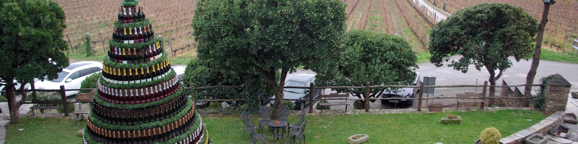 A large Christmas tree made of wine bottles, a stone patio, and a vineyard in the background.