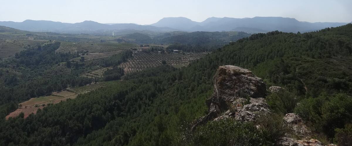A mountainous landscape with dense forests, terraced fields, and distant mountains under a clear sky.