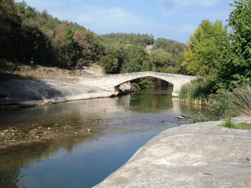 Pont nou d'Orniu, a Cal Rosal, Avià