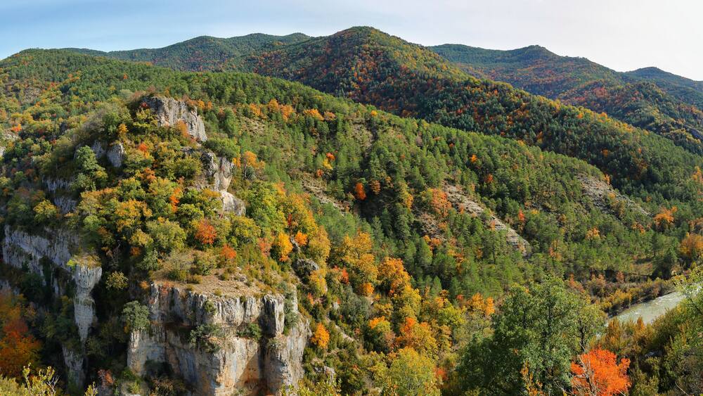 Gorgeous forest near Ansó, Aragonese pyrenees, Huesca province, Spain