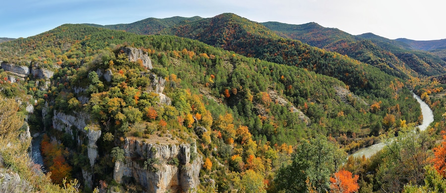 Gorgeous forest near Ansó, Aragonese pyrenees, Huesca province, Spain