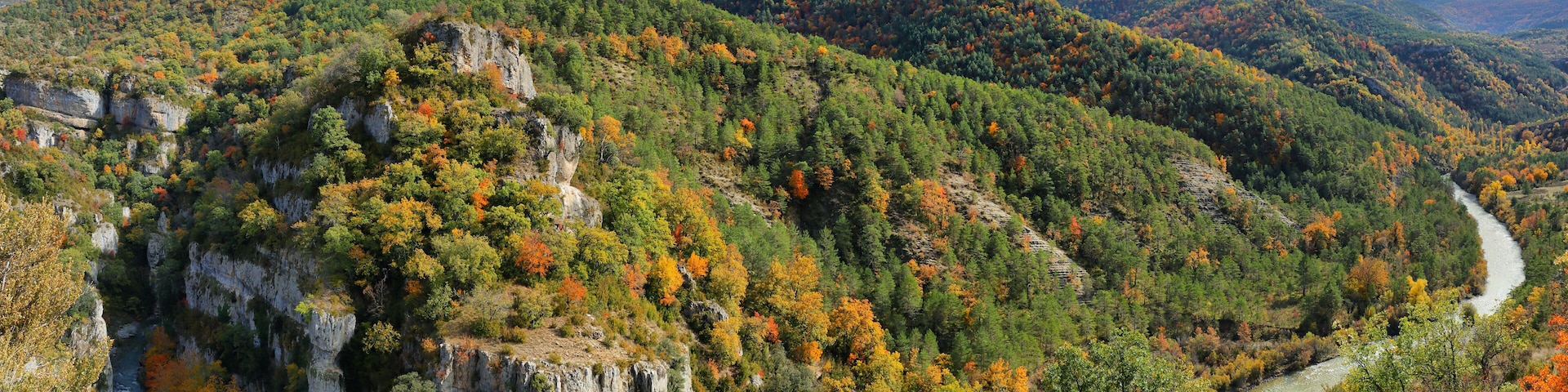 Gorgeous forest near Ansó, Aragonese pyrenees, Huesca province, Spain
