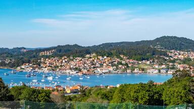 A coastal town with a harbor filled with boats, surrounded by hills and dense greenery.
