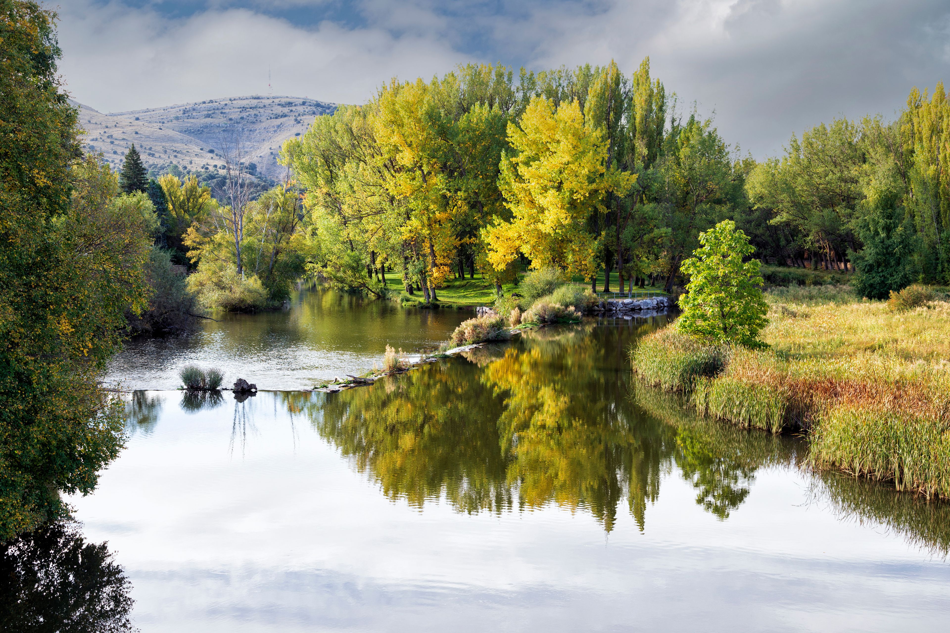 A calm river reflecting trees and a distant mountain range.