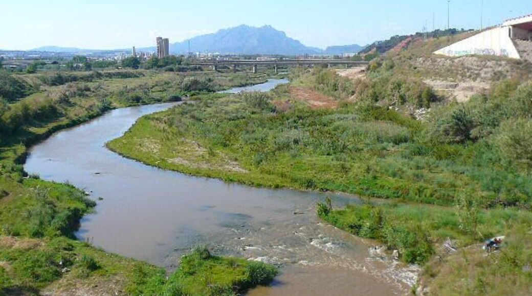 This is a a photo of a natural area in Catalonia, Spain, with id: