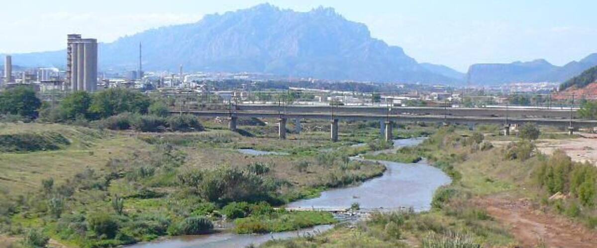 A river winding through a green landscape with a bridge and mountains in the background.