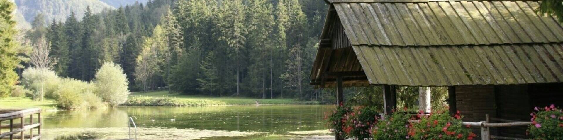 Jeezersko - another beautiful destination in Slovenia
#travel #nature #slovenia