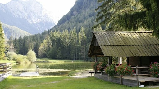 Jeezersko - another beautiful destination in Slovenia
#travel #nature #slovenia