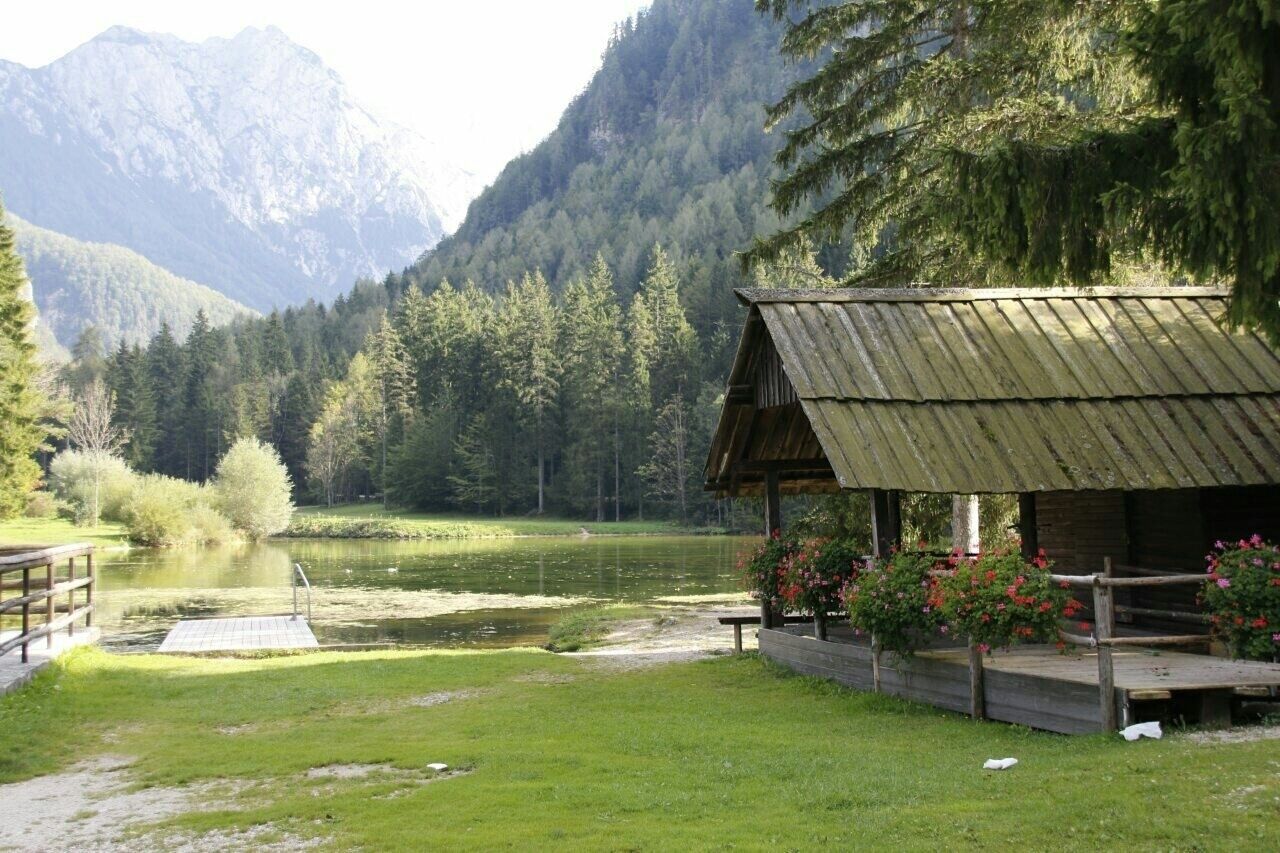 A rustic wooden cabin with a metal roof, surrounded by lush greenery and a calm lake, with mountains in the background.