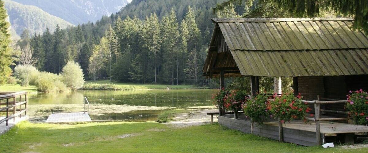 A rustic wooden cabin with a metal roof, surrounded by lush greenery and a calm lake, with mountains in the background.