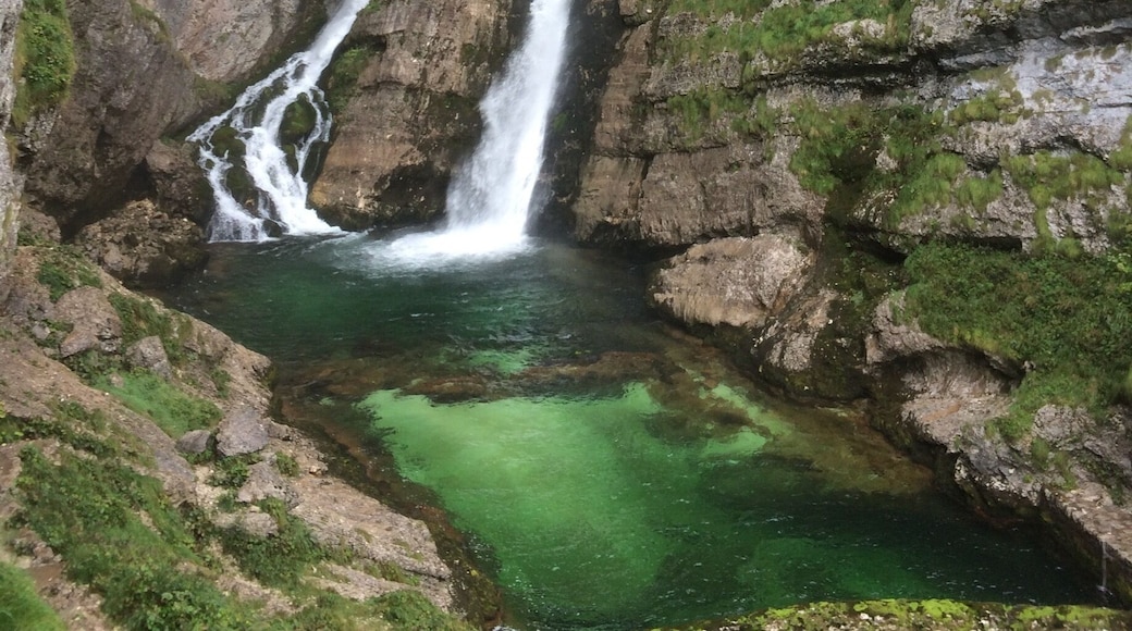 #takeaHike to Savica falls Slovenia 🇸🇮.It is very unique among world waterfalls – its watercourse is divided into two parts in the hidden undergrounds. The famous A-shaped waterfall normally comes into sight at an altitude of 836 m and is 78 m high.
It is fed by the waters from the Valley of the Triglav Lakes and Pršivec that flow to it through a horizontal cave tunnel.