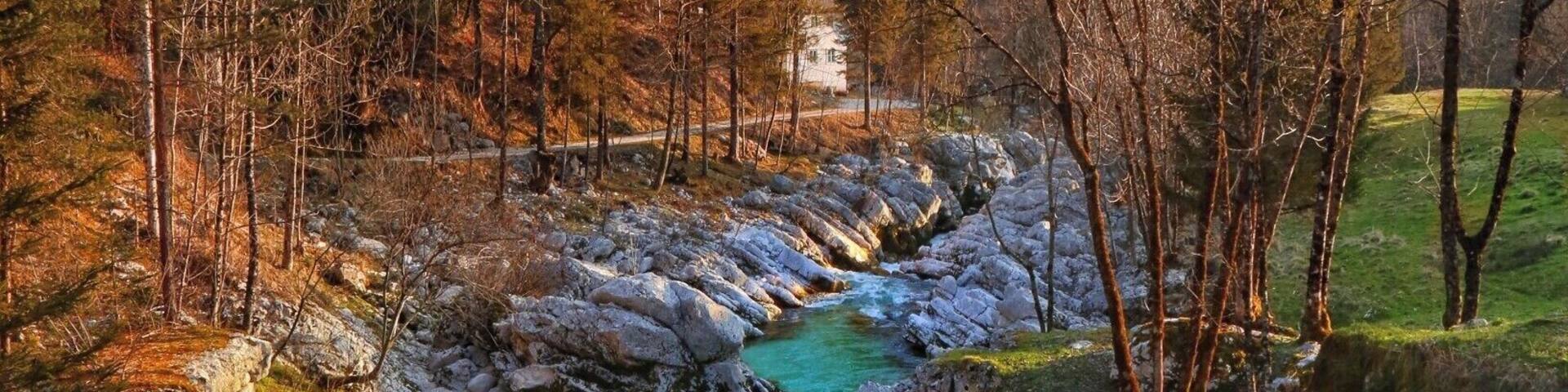 Many people go to Slovenia in the summer period but in the autumn is the natural beauty of Slovenia. It will also not be crowded because it is out of season.
#LifeAtExpedia
#Slovenia
#Nature
#Autumn
#Travel
#River
#outdoor