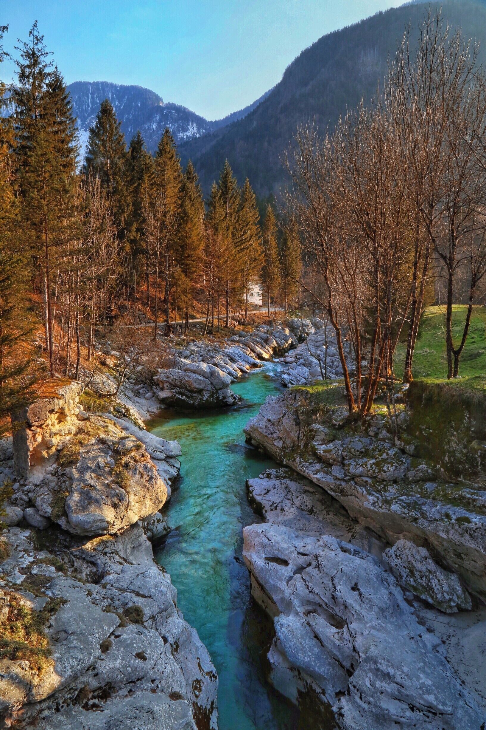 A river flowing through a mountainous area with rocky banks and trees.