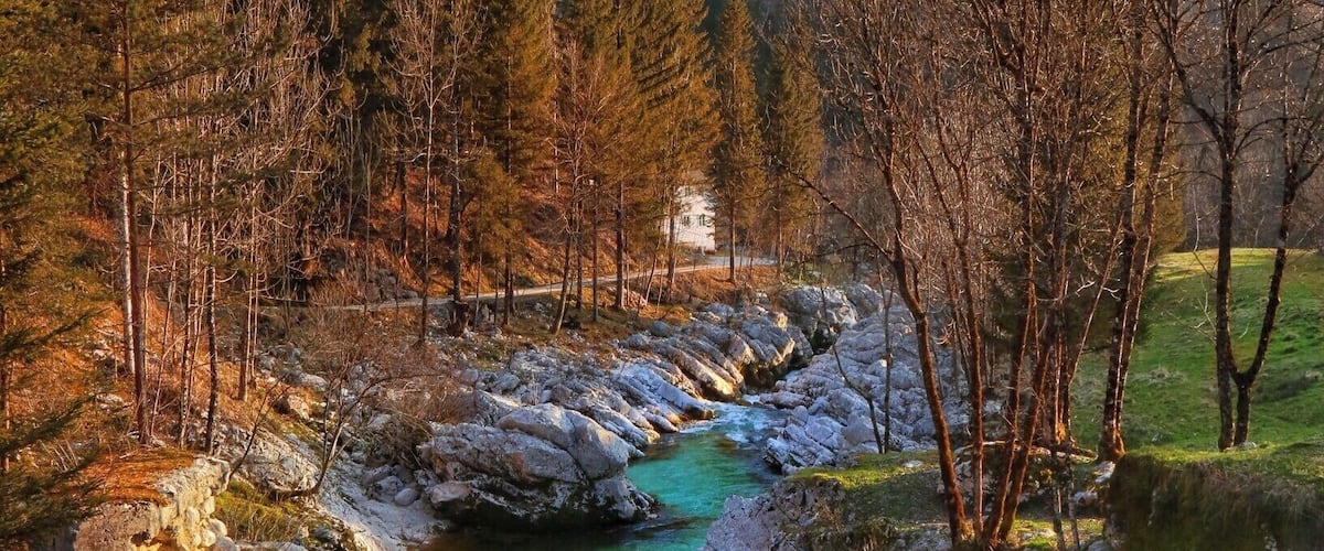 A river flowing through a mountainous area with rocky banks and trees.