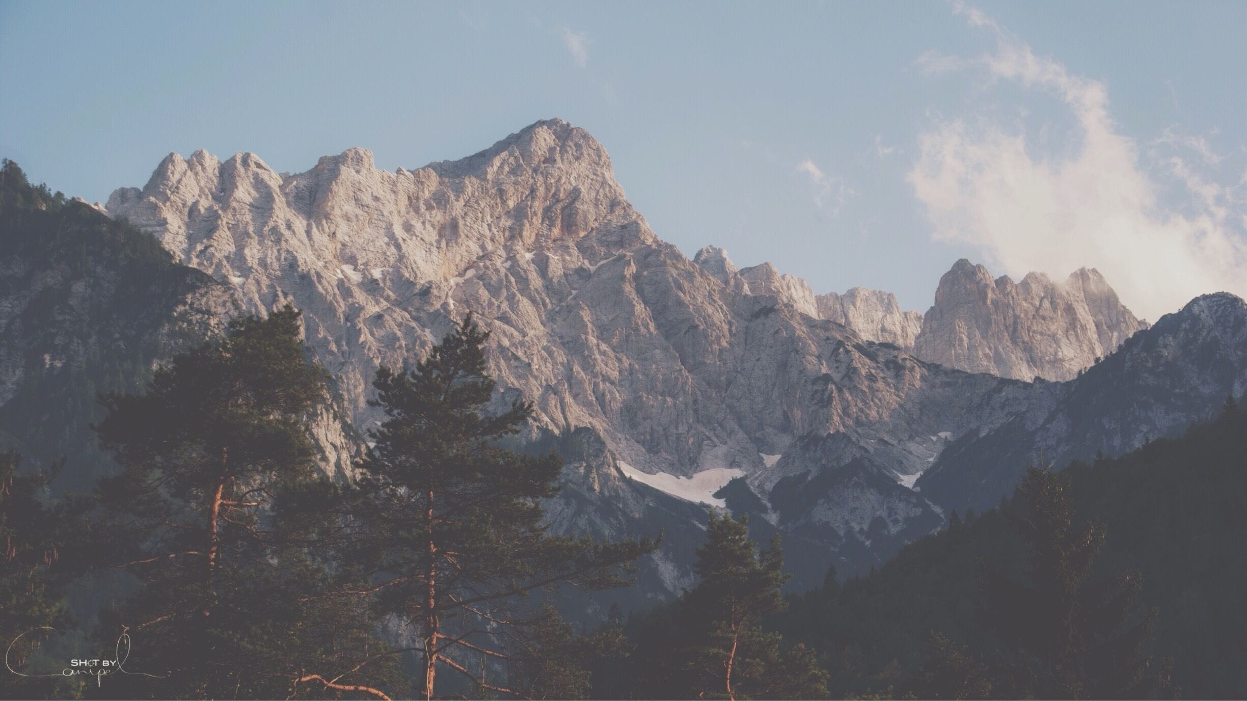 A mountain range with rugged peaks and dense pine forests.