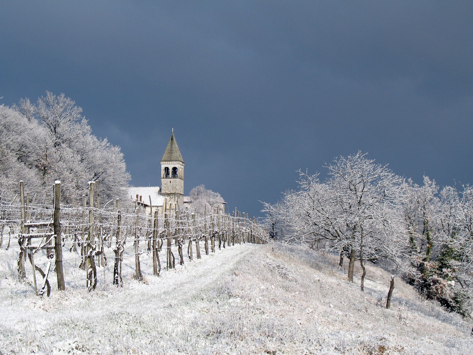 Tomaj church in white