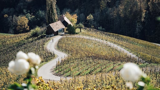 Slovenia stole my heart many years ago.... a country with a green heart and love roads 💚
Probably the most romantic road in the world.
#slovenia #romance #places #roads #heart #love #travel #valentine #ontheroad
Make sure you follow me on:
https://www.facebook.com/ShotByCanipel/
https://www.instagram.com/canipel/