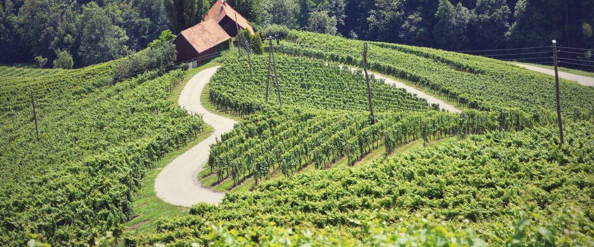 One of the most romantics roads in the world. Slovenian heart road ...
Verjetno najbolj romantična potka v Sloveniji. Pogled iz Turistične kmetije Dreisiebner ...
#Slovenia #HeartRoad #Romantic #Overdose