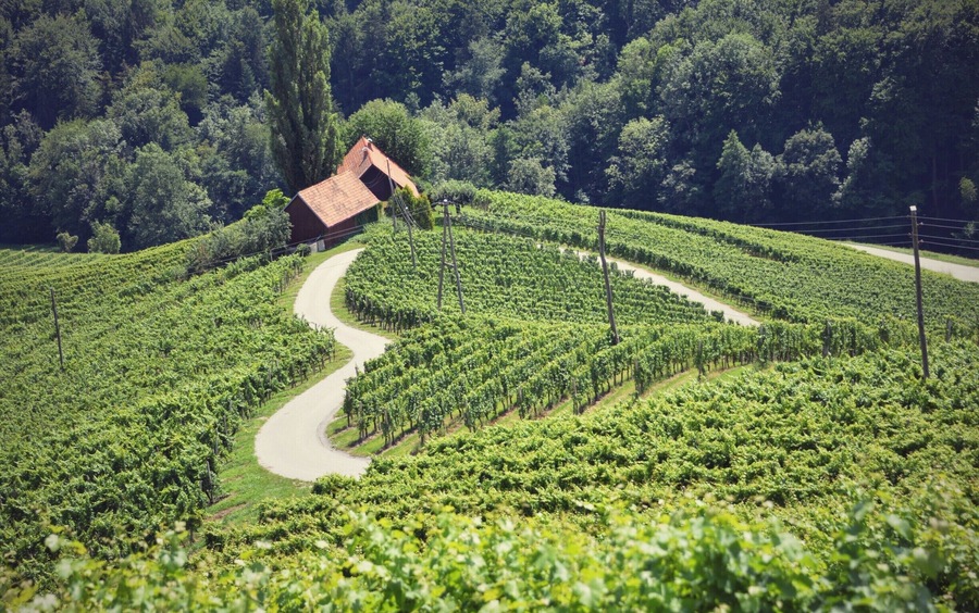 One of the most romantics roads in the world. Slovenian heart road ...
Verjetno najbolj romantična potka v Sloveniji. Pogled iz Turistične kmetije Dreisiebner ...
#Slovenia #HeartRoad #Romantic #Overdose