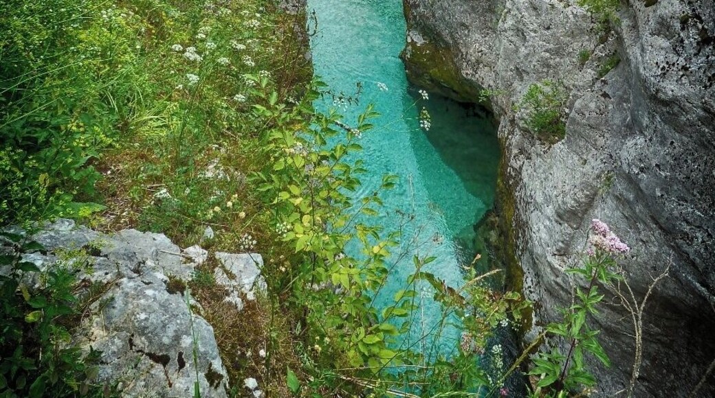 The crystal clear (and cold) waters of the Soča. Due to its emerald-green water color, the river is known as "The Emerald Beauty". #Colorful