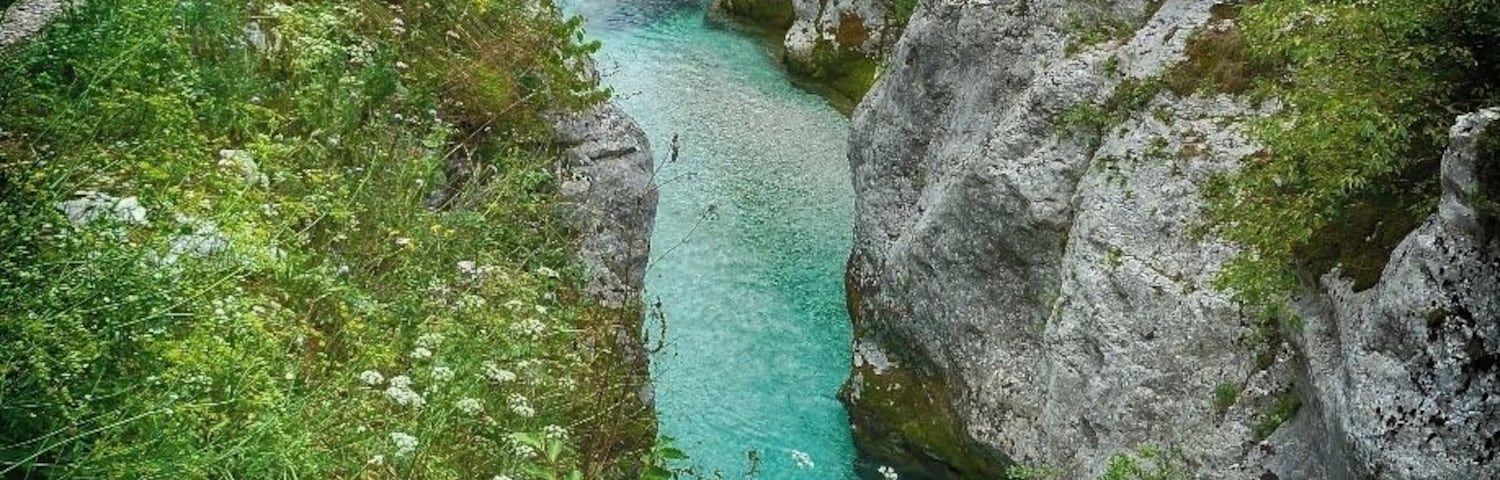 The crystal clear (and cold) waters of the Soča. Due to its emerald-green water color, the river is known as "The Emerald Beauty". #Colorful
