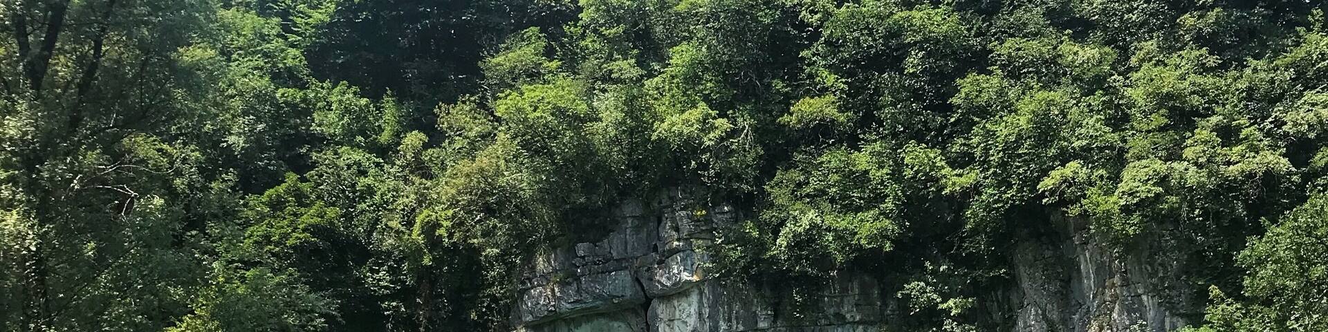 The most beautiful turquoise river surrounded by limestone cliffs, yet no one seems to know about this spot. You could easily spend the day reading a book next to this spring and not see another sole! Just one of the reasons why I loved the off the beaten track destination of Bela Krajina in Slovenia